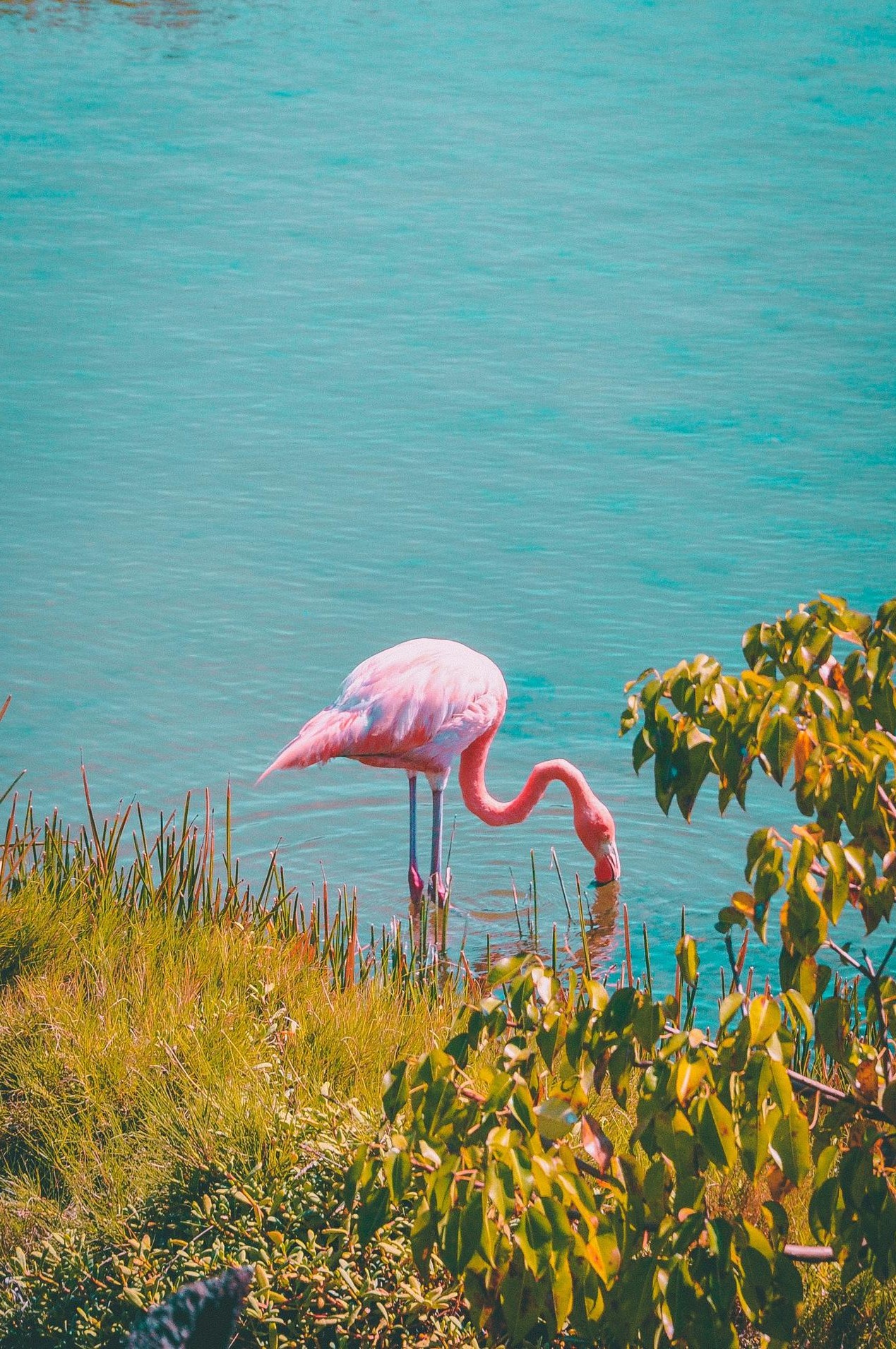 Über easy-travels.one